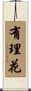 有理花 Scroll