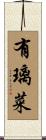 有璃菜 Scroll