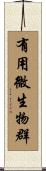 有用微生物群 Scroll