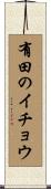 有田のイチョウ Scroll