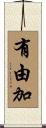 有由加 Scroll