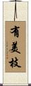 有美枝 Scroll