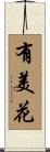 有美花 Scroll