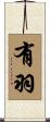 有羽 Scroll