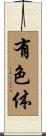 有色体 Scroll