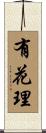 有花理 Scroll