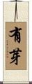有芽 Scroll