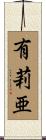有莉亜 Scroll