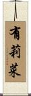 有莉菜 Scroll
