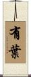 有葉 Scroll