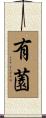 有薗 Scroll