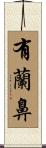 有蘭鼻 Scroll
