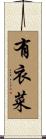 有衣菜 Scroll