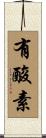有酸素 Scroll