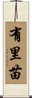 有里苗 Scroll