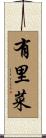 有里菜 Scroll