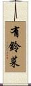 有鈴菜 Scroll