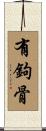 有鉤骨 Scroll