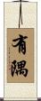 有隅 Scroll