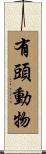 有頭動物 Scroll