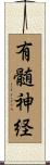 有髄神経 Scroll