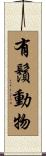 有鬚動物 Scroll