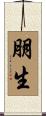 朋生 Scroll