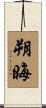 朔晦 Scroll