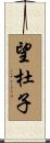 望杜子 Scroll
