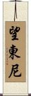 望東尼 Scroll