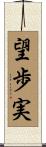 望歩実 Scroll