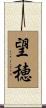 望穂 Scroll