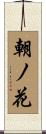朝ノ花 Scroll