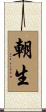 朝生 Scroll