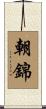朝錦 Scroll