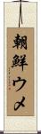 朝鮮ウメ Scroll
