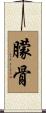 朦骨 Scroll