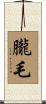 朧毛 Scroll