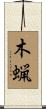 木蝋 Scroll