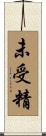 未受精 Scroll