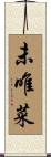 未唯菜 Scroll