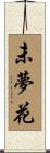 未夢花 Scroll