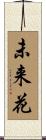 未来花 Scroll