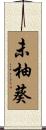 未柚葵 Scroll