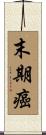 末期癌 Scroll