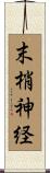 末梢神経 Scroll