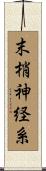 末梢神経系 Scroll