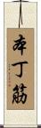 本丁筋 Scroll
