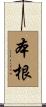本根 Scroll