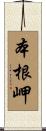 本根岬 Scroll
